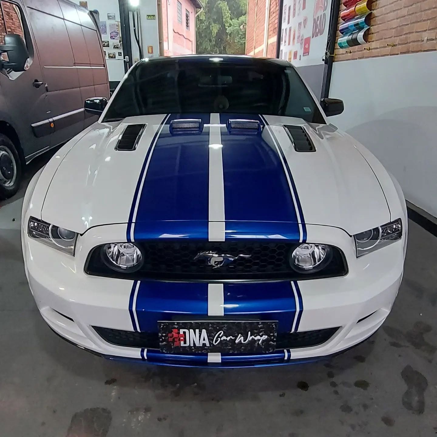 Mustang branca com faixas azuis